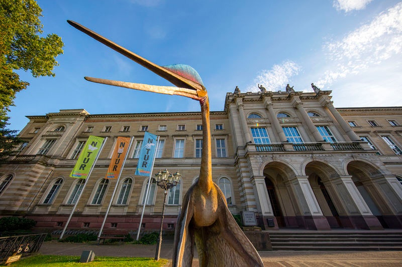 Ausflug Naturkundemuseum GrauBau