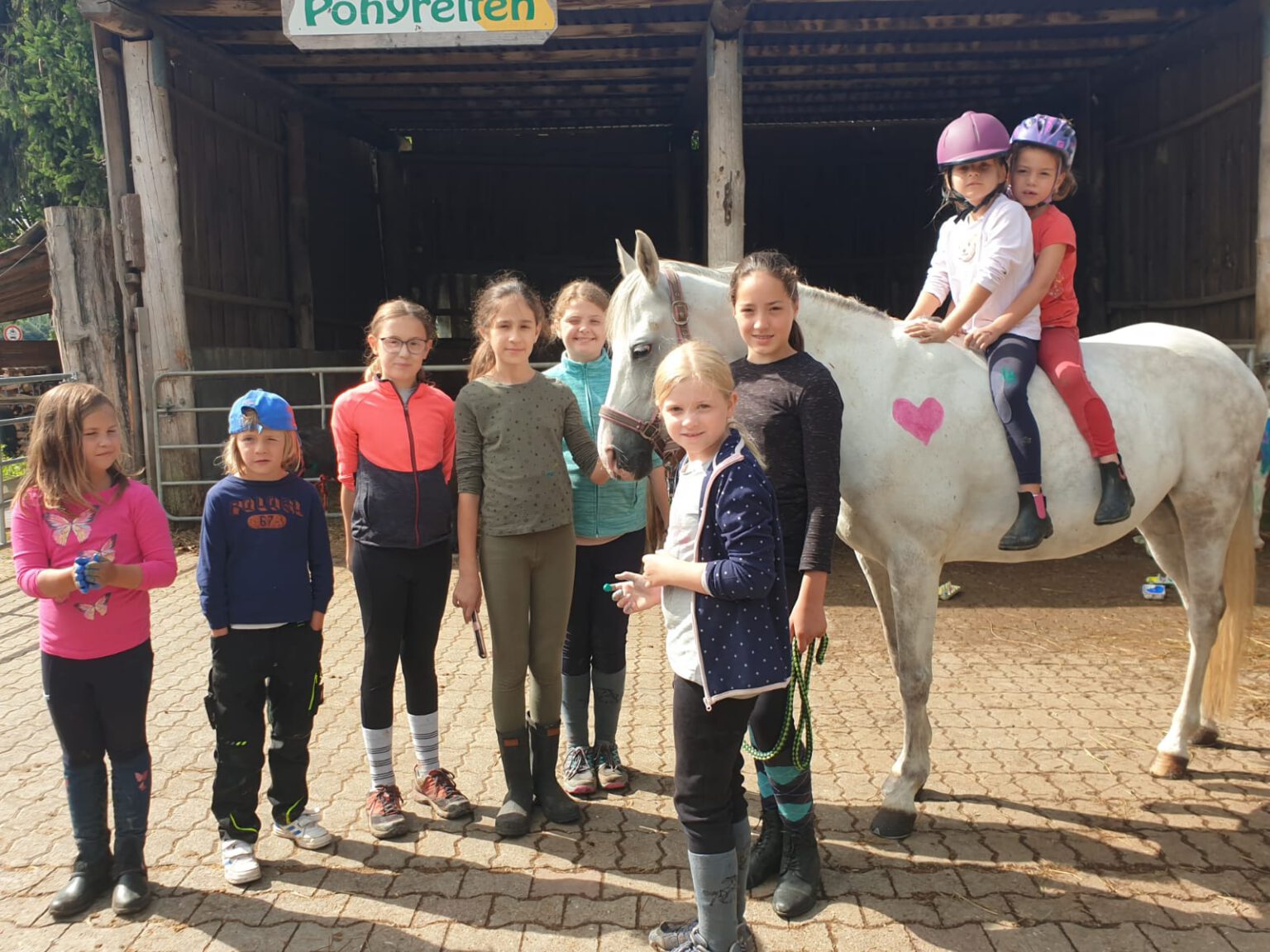Pony-und Pferdehof Mohrhardt